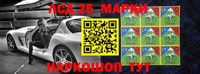 индика Обнинск