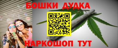 индика Обнинск