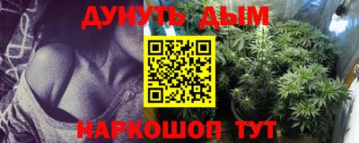 индика Обнинск