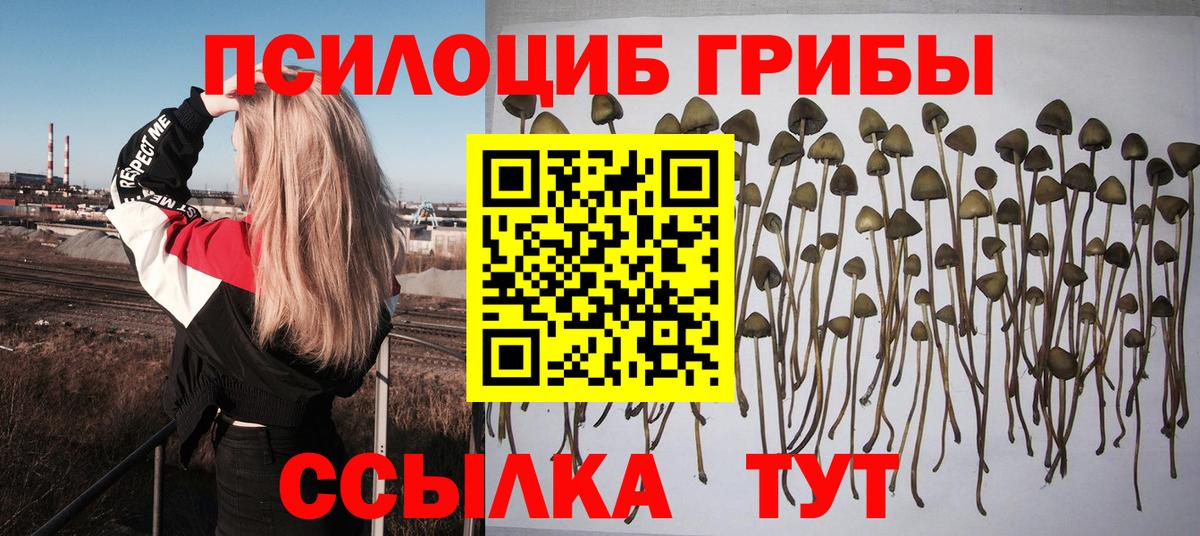 Псилоцибиновые грибы ЛСД Советский
